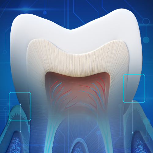 New Directions in Digital Dentistry Ebook Library Image