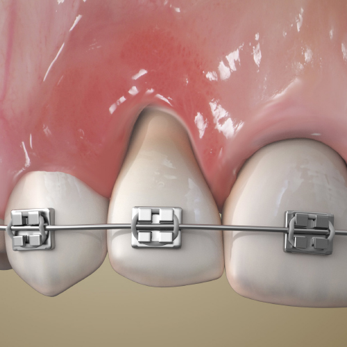 Developments in Orthodontics Ebook Library Image
