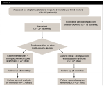 Fig 2. Schematic flow chart outlining the number of patients screened, recruited, randomized, treated, and followed-up with according to CONSORT guidelines.